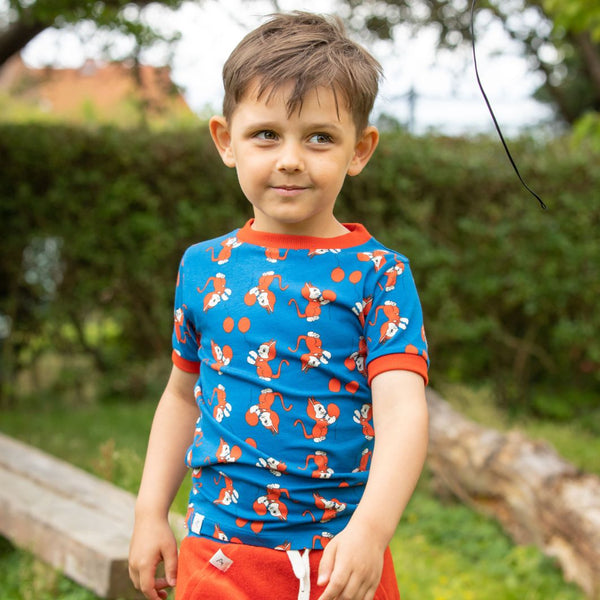 bambino di 3-4 anni con capelli marroni e con indosso una maglietta blu  e dei gattini rossi