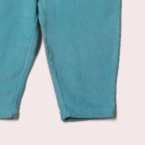 dettaglio gamba pantaloni azzurri in velluto a coste